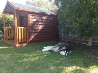 STIRLING LODGE BOARDING KENNELS image 2